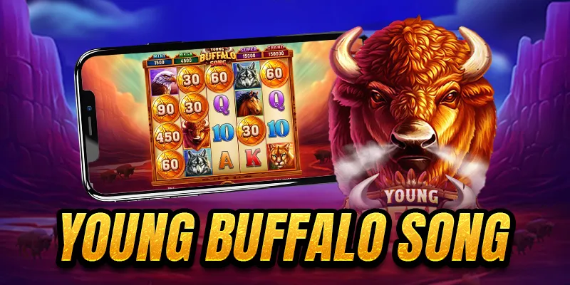 Buffalo King